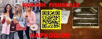 прущие крисы Кингисепп