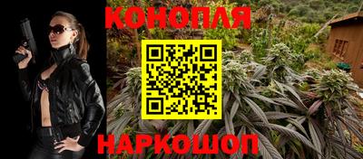 прущие крисы Кингисепп
