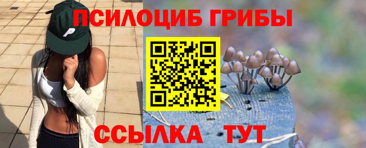Клинцы  наркотики  Псилоцибиновые грибы прущие грибы  Вход с VPN  Галлюциногенные грибы Cubensis 