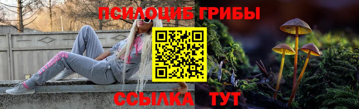 Псилоцибиновые грибы Psilocybe Клинцы